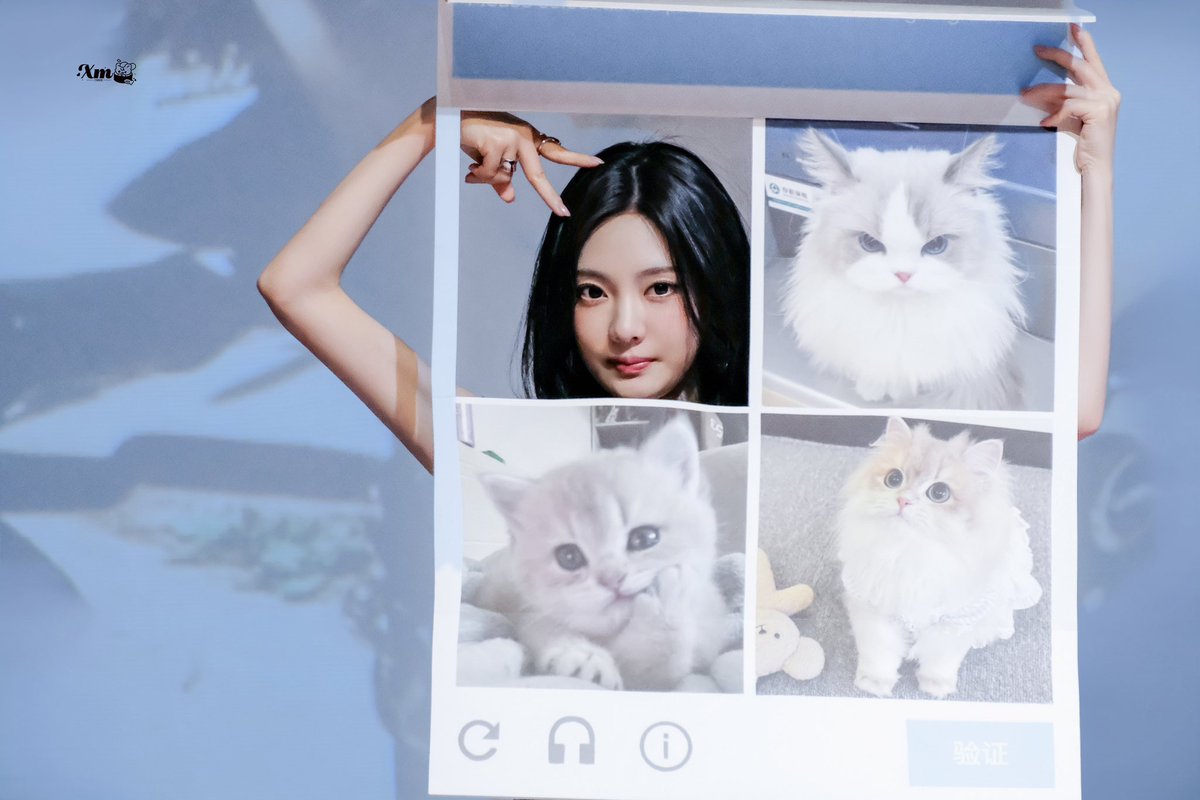 -joyycee tweet media