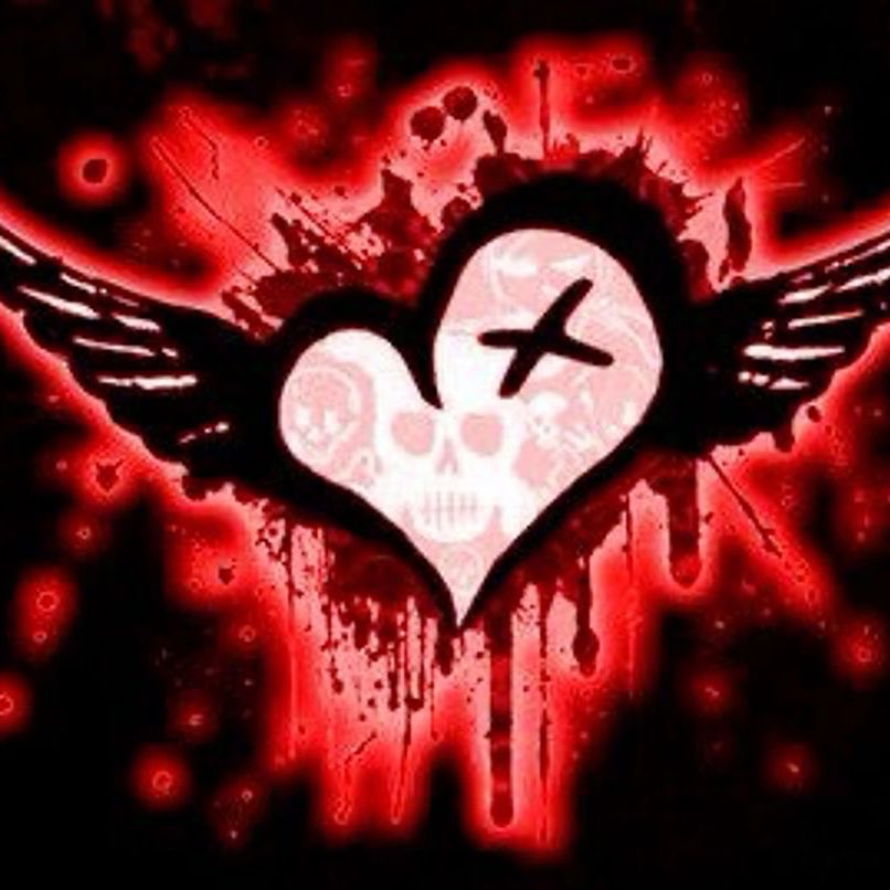 ๐ฝ๐๐๐๐ tweet media