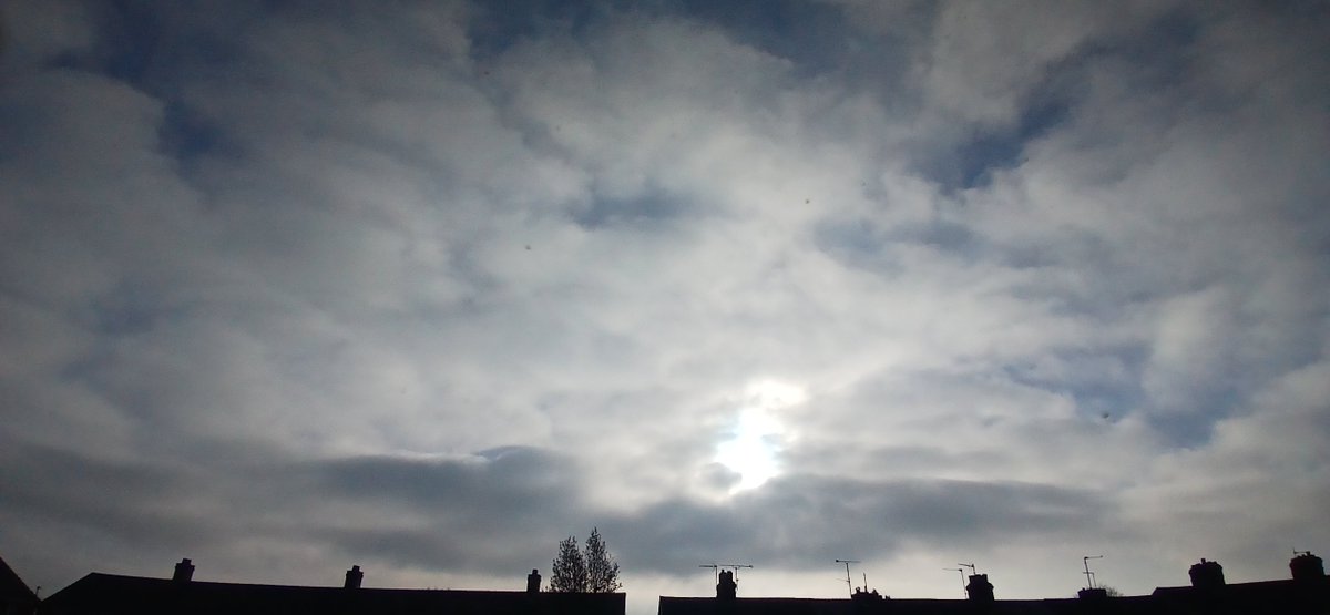 Robert Bester tweet media