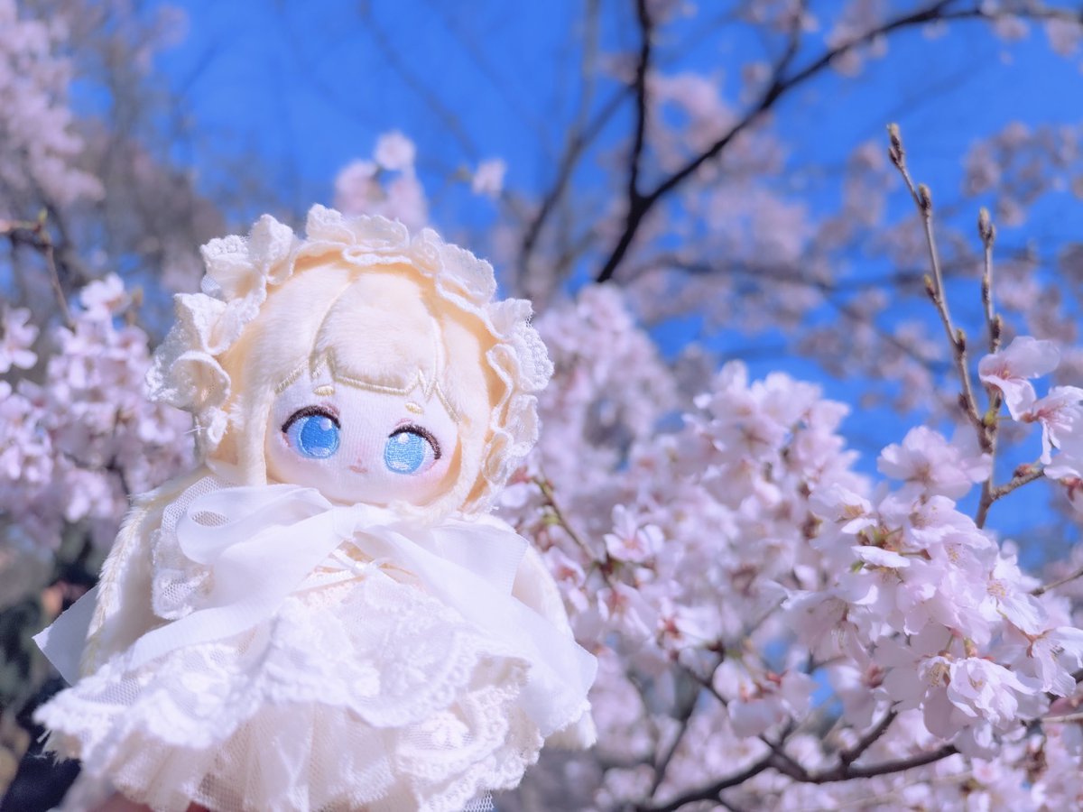 merrilyplus's tweet photo. ⟡.·*.𝑃𝑟𝑖𝑛𝑐𝑒𝑠𝑠 ⟡.*🌸 https://t.co/yGcAOfyFHG