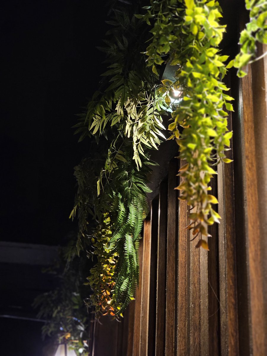 글월.•ᰔᩚ tweet media