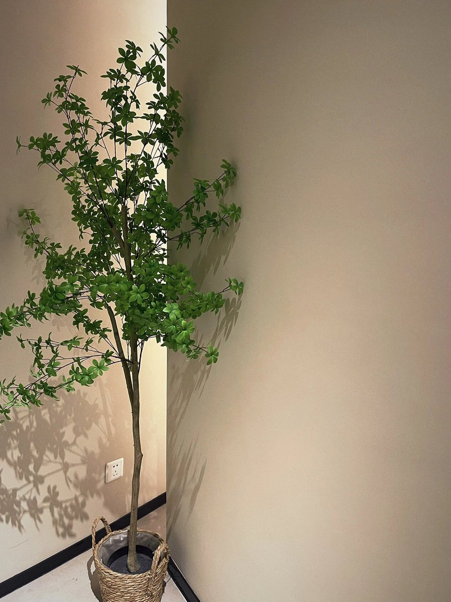 Lee Downs tweet media