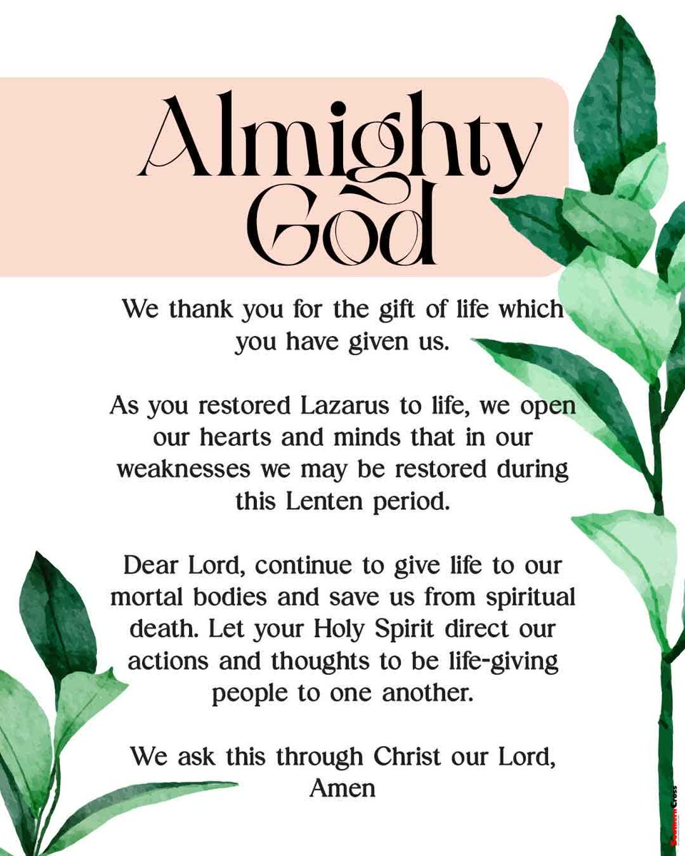 The Southern Cross  tweet media