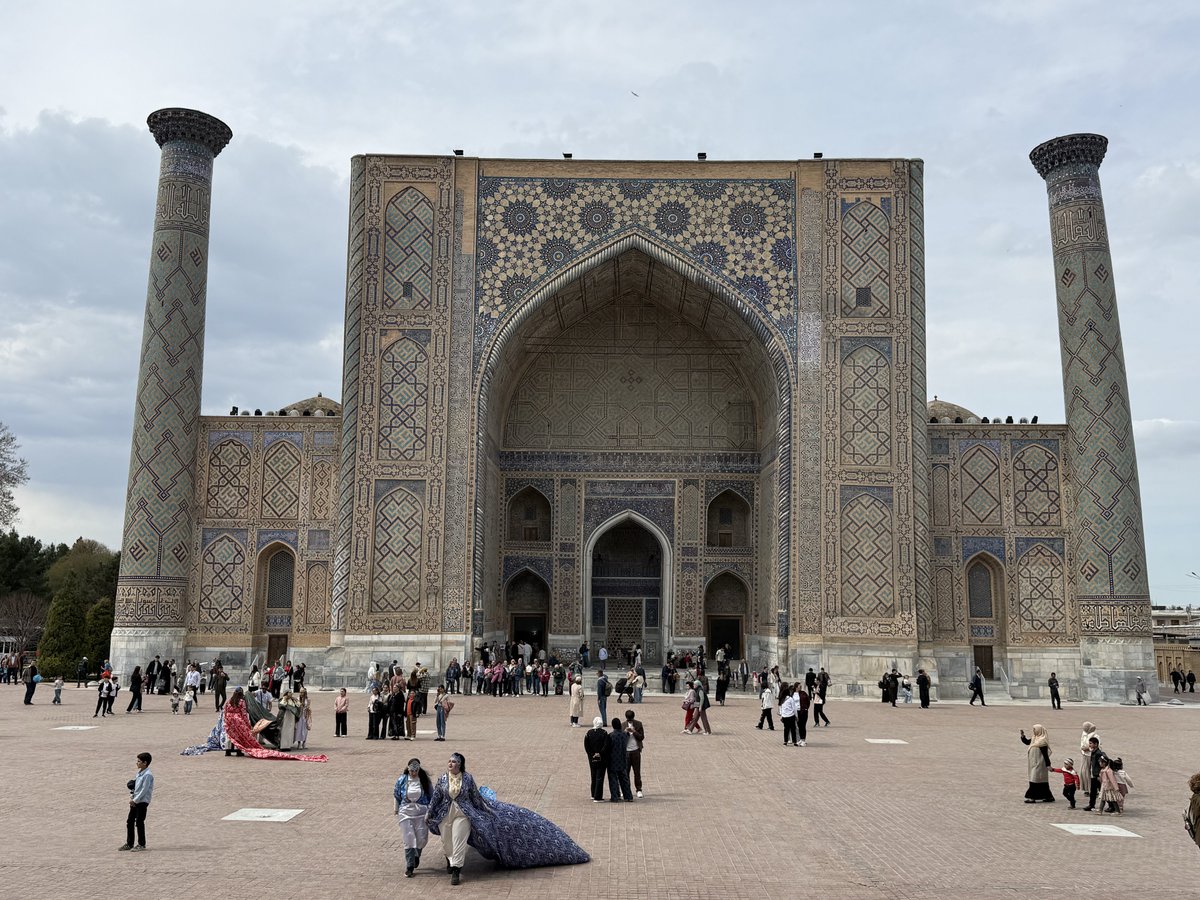 David Harrison tweet media