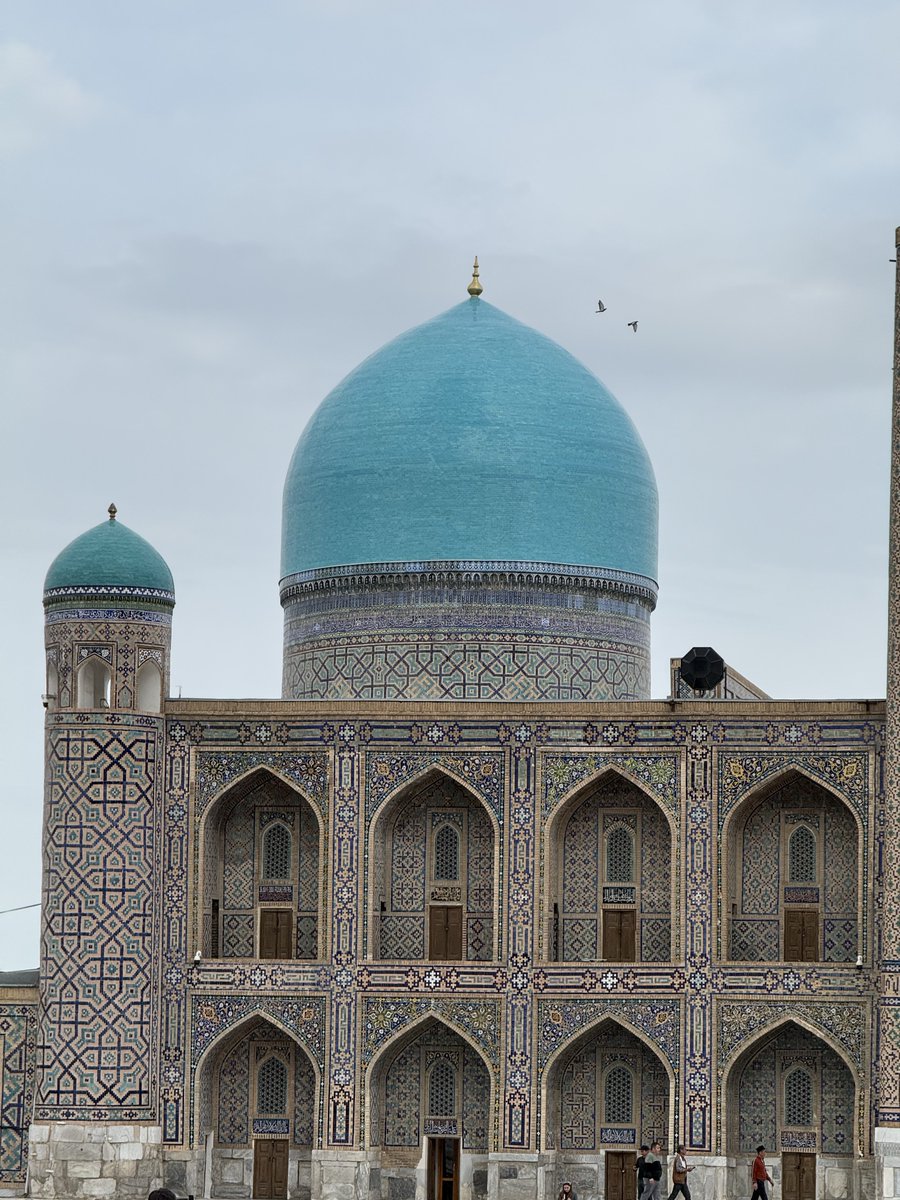 David Harrison tweet media