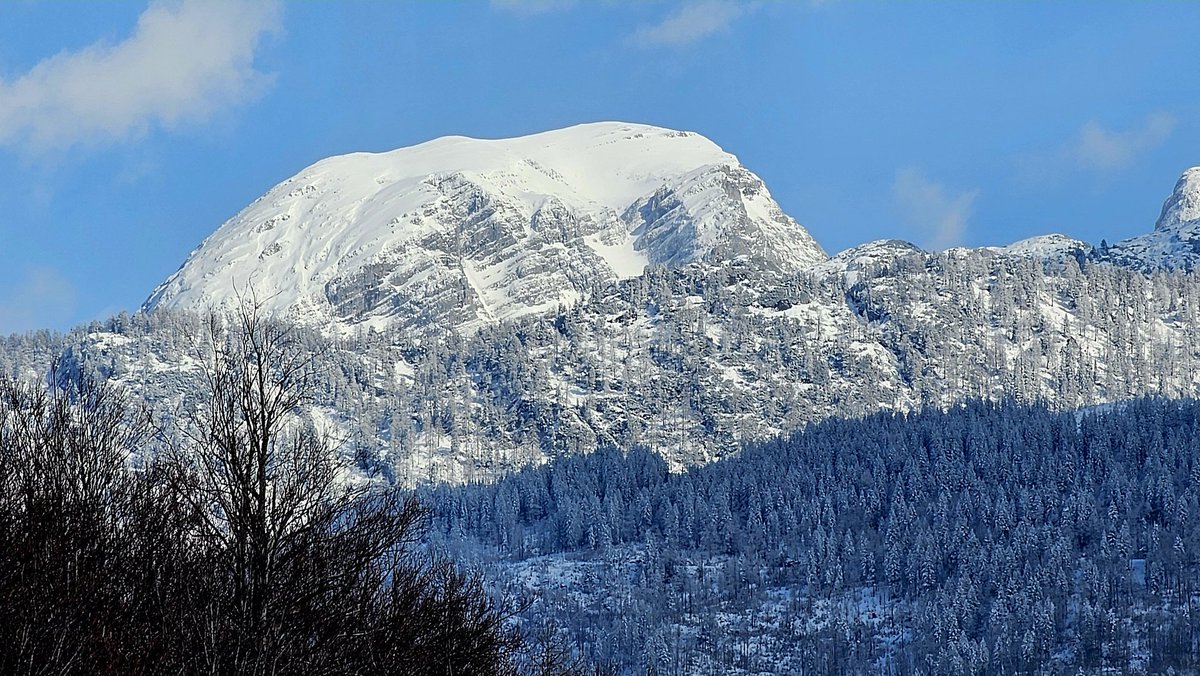 Da Stoascheisser Korl tweet media