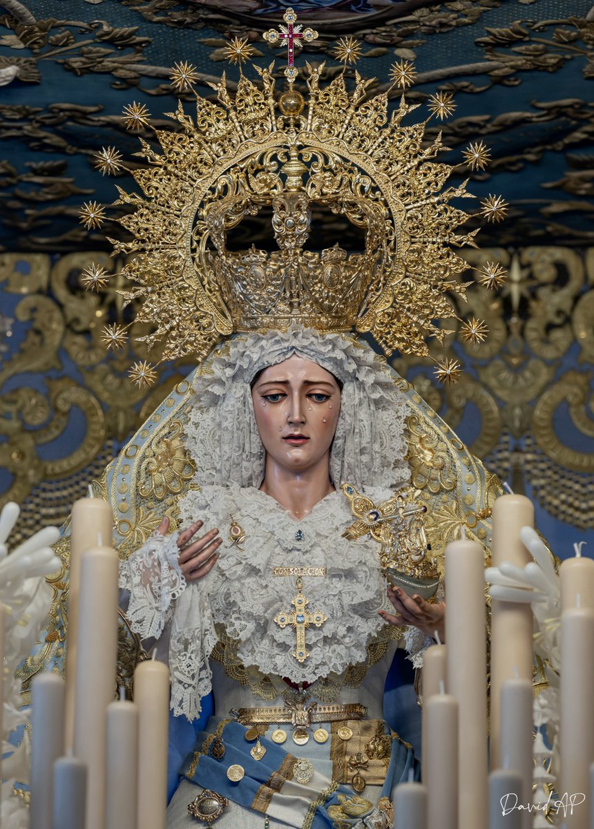 David Arias tweet media