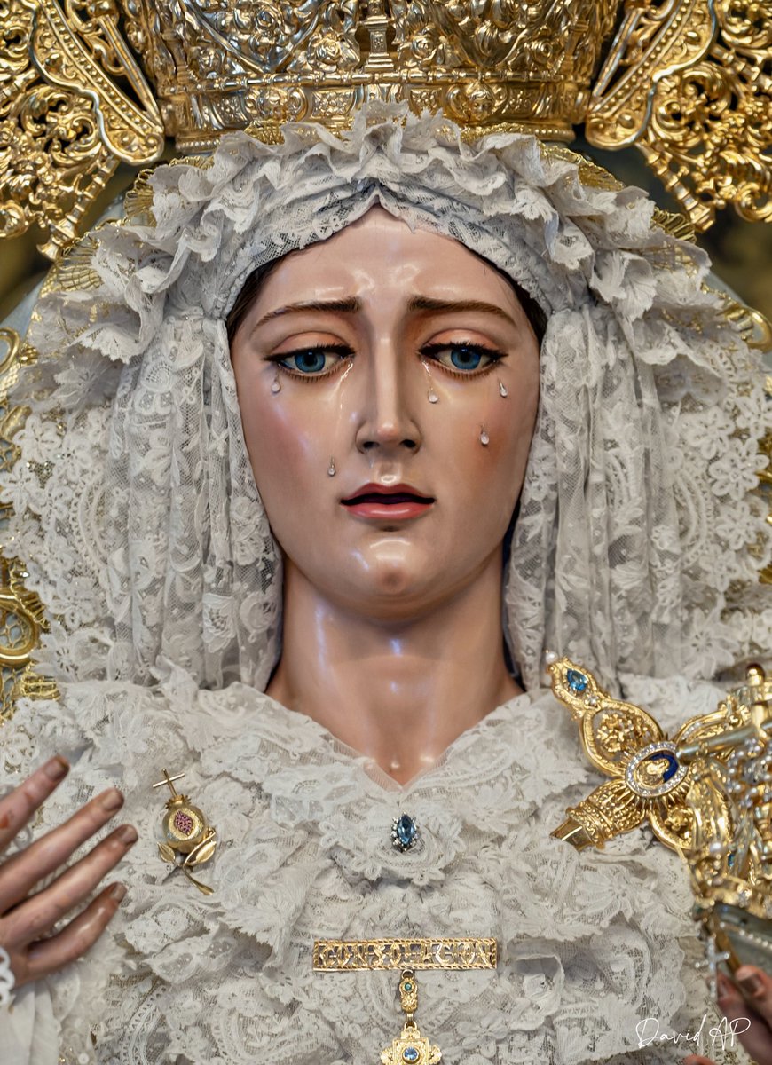 David Arias tweet media