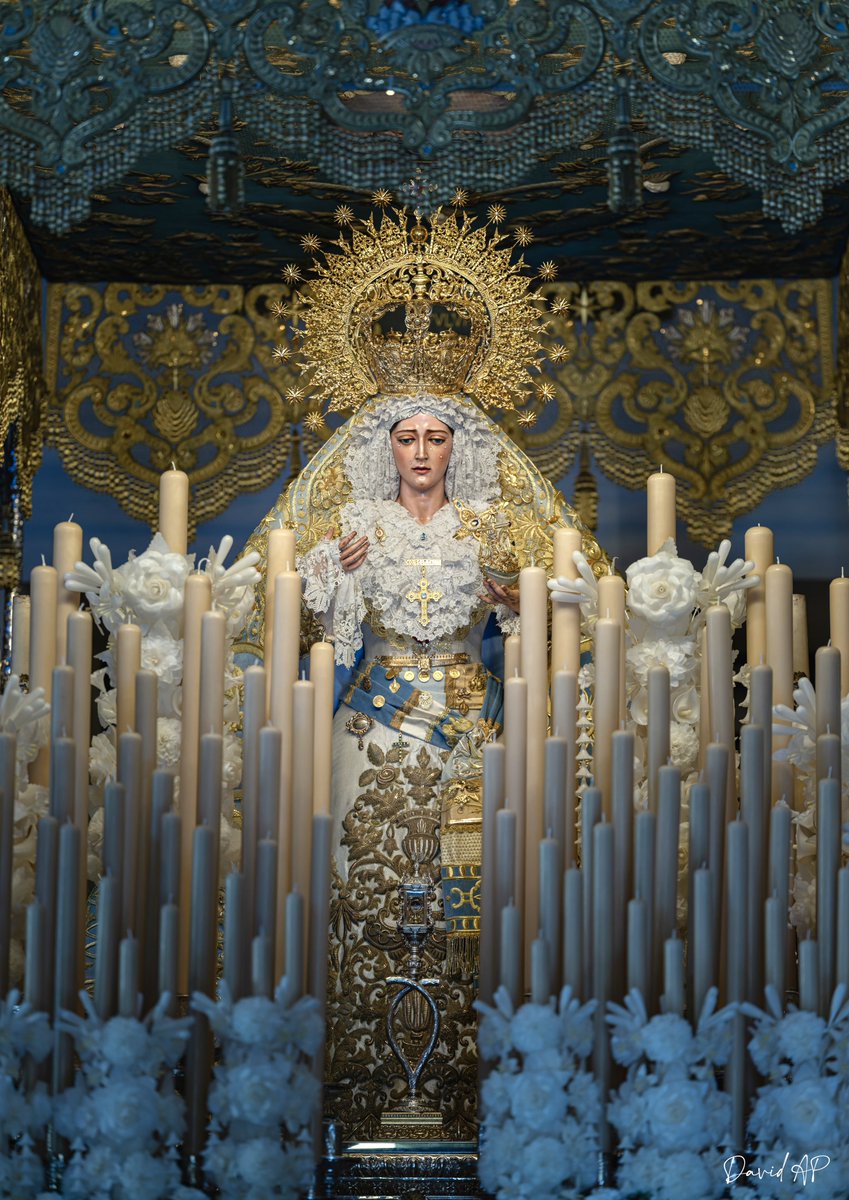 David Arias tweet media