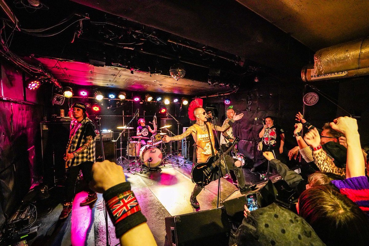 SKINHEAD GIRL tweet media