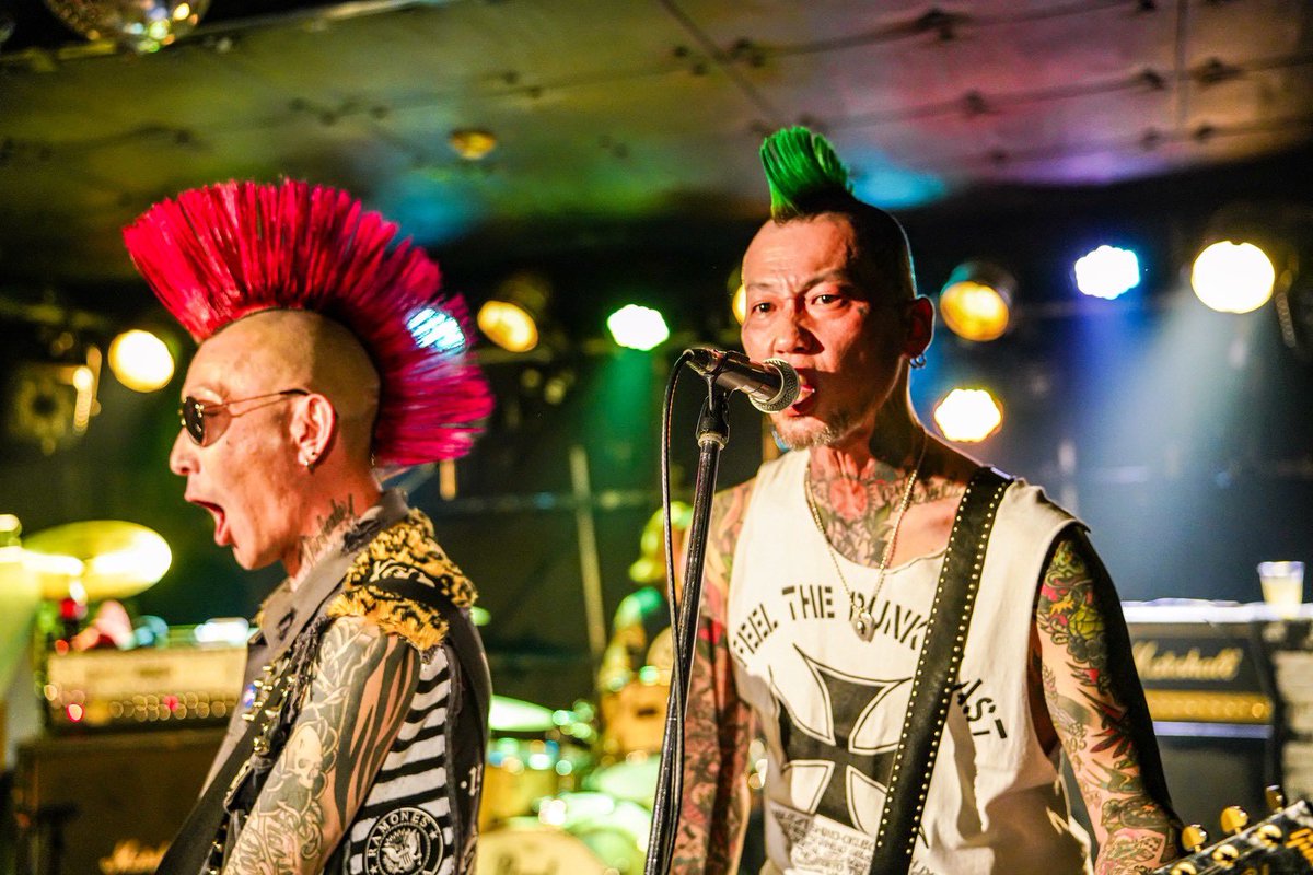 SKINHEAD GIRL tweet media