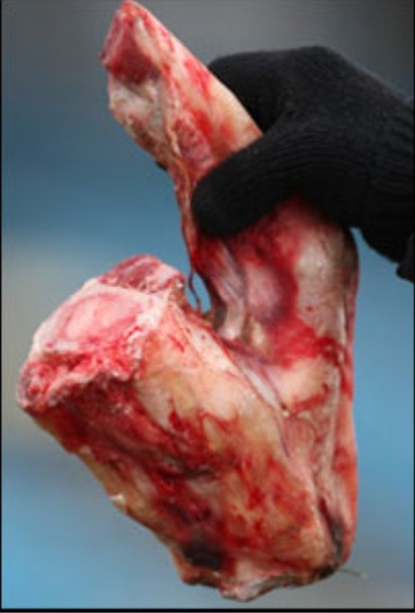 Irish League - On This Day tweet media