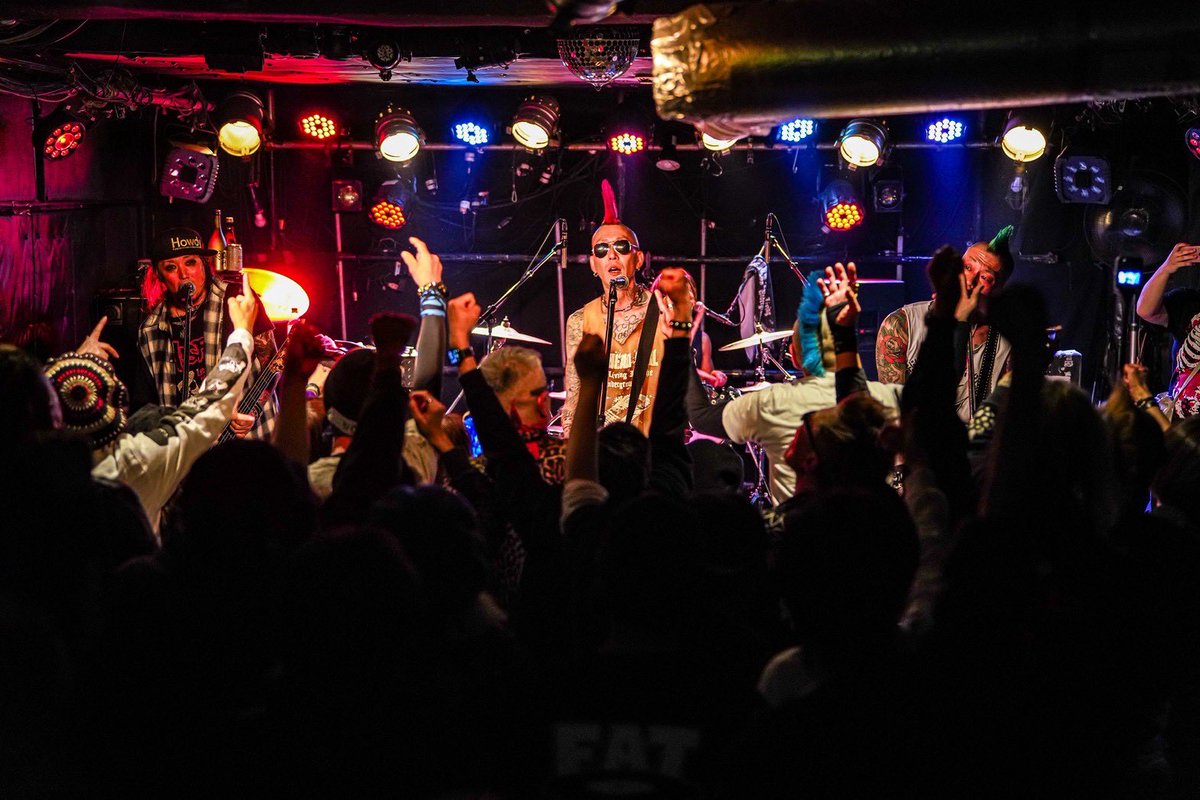 SKINHEAD GIRL tweet media