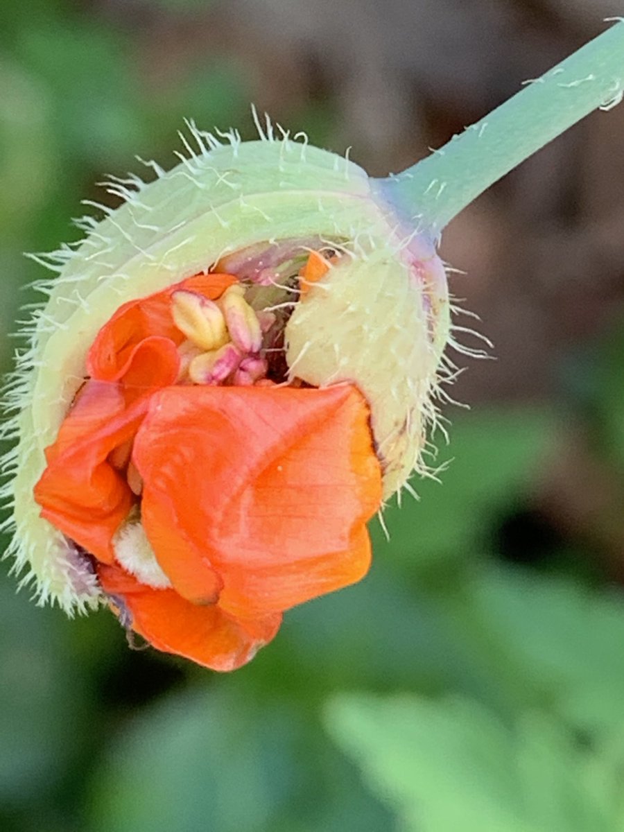 jos weerkamp tweet media