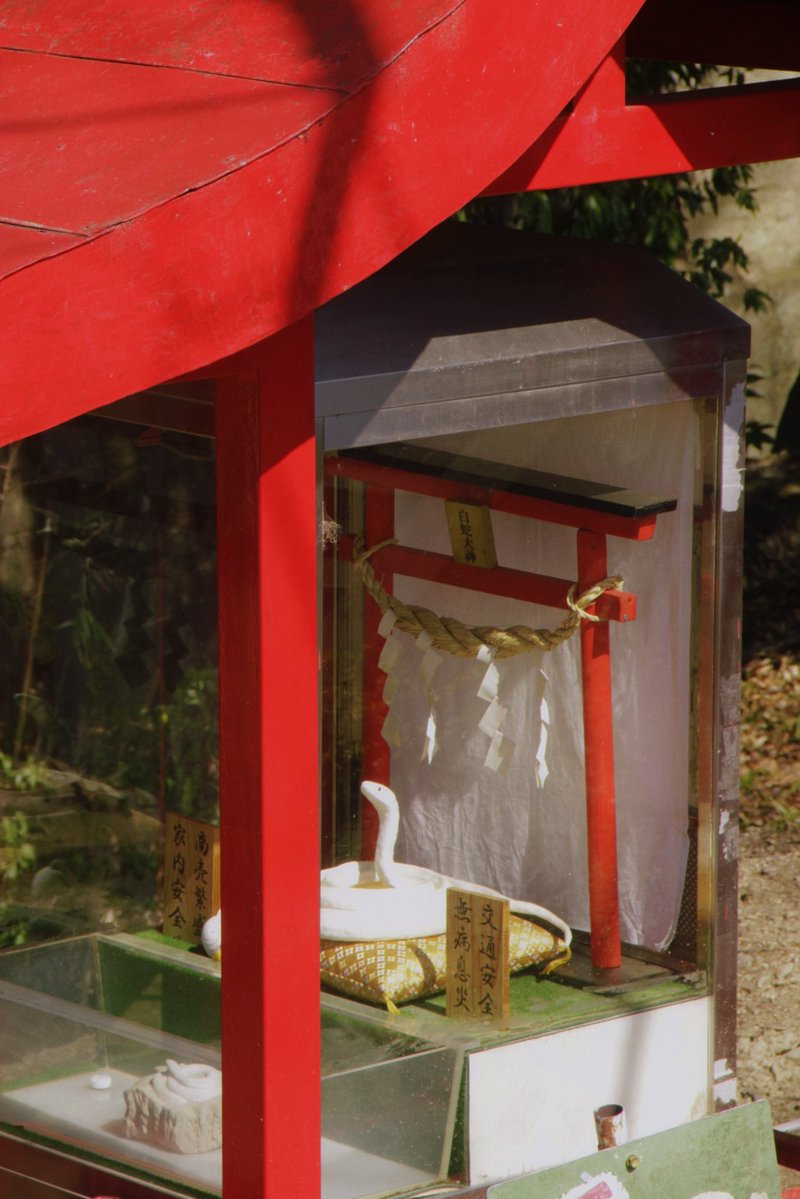 Миканчик✨🌸 tweet media