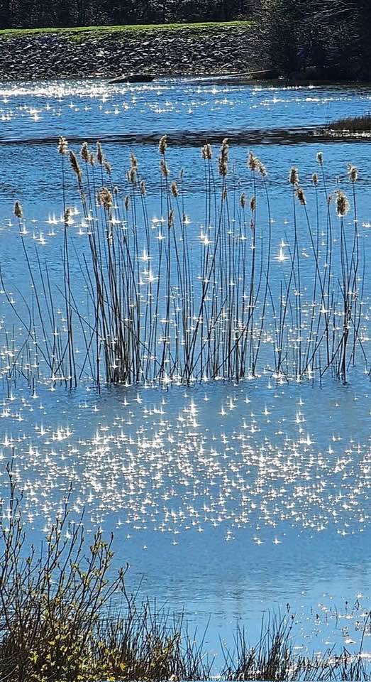 Kees Vaandering tweet media