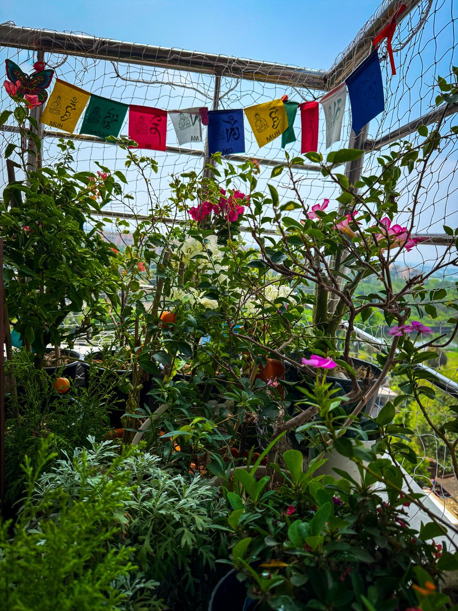 Miss Frodo 🌙❤️🪬 tweet media