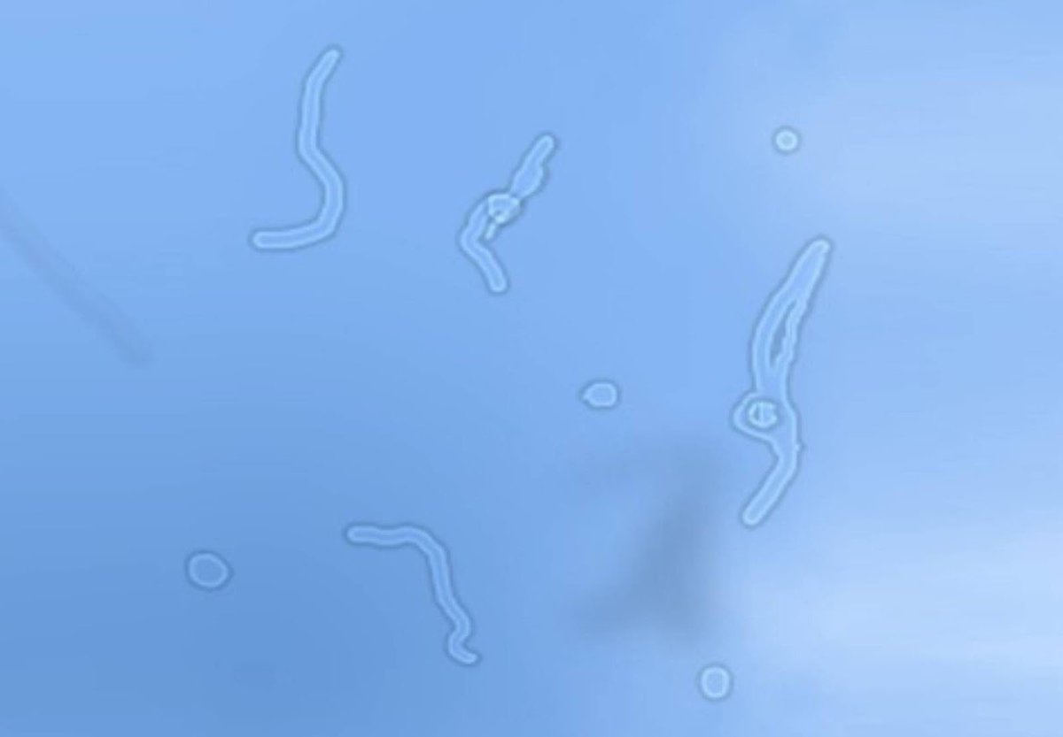 Vineeth K tweet media