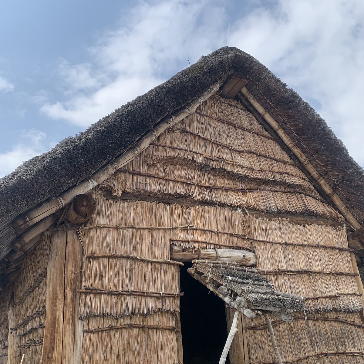 bacc_prop tweet media