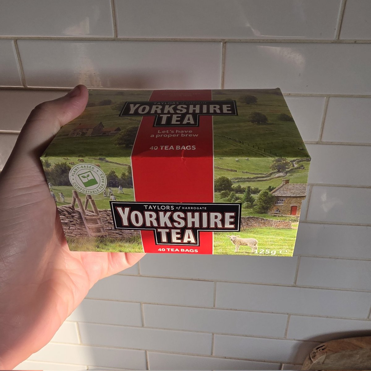 Jack Alexander tweet media