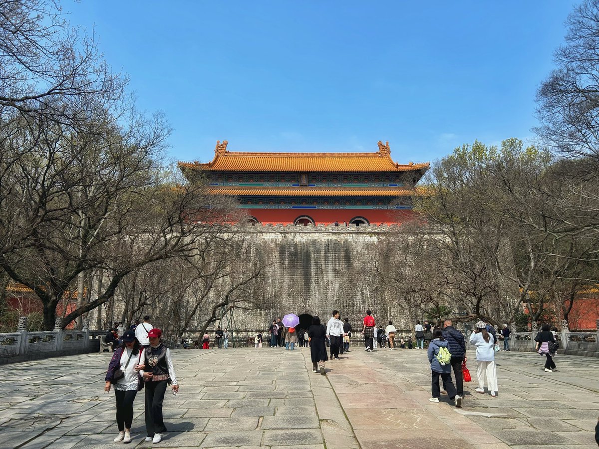 Michael Mustafa tweet media