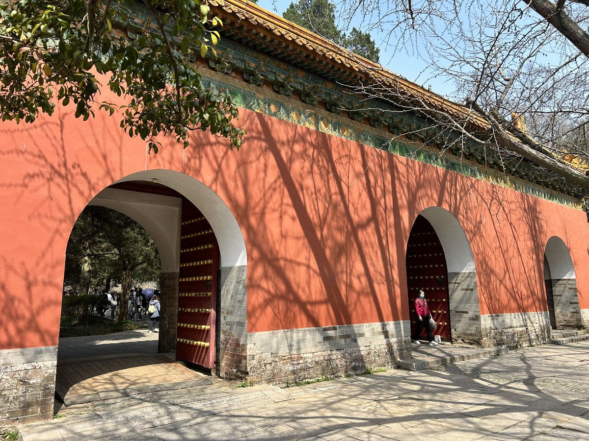 Michael Mustafa tweet media