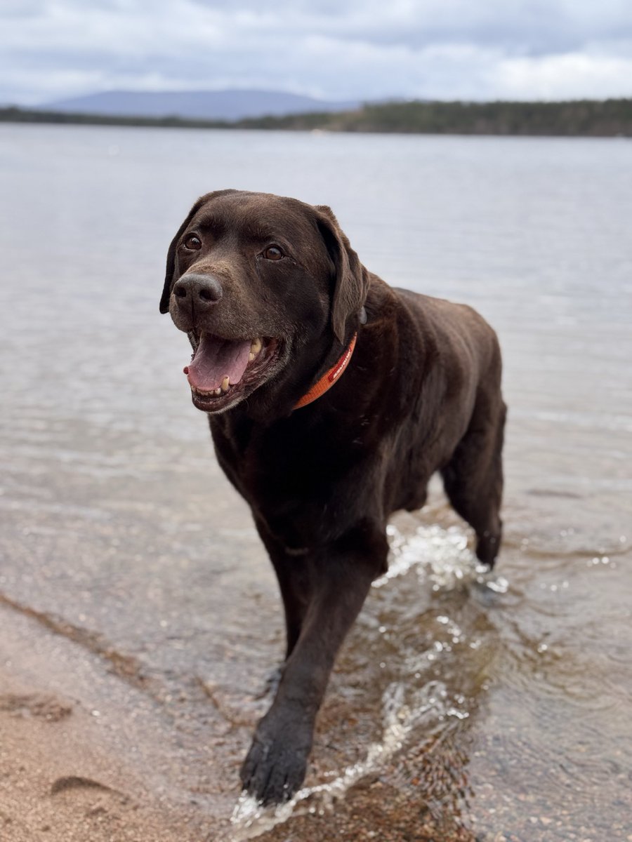 Dexychoclab 🤎🤎🤎 tweet media