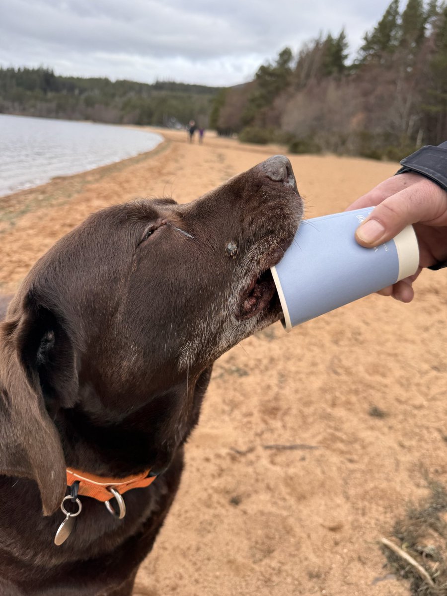 Dexychoclab 🤎🤎🤎 tweet media