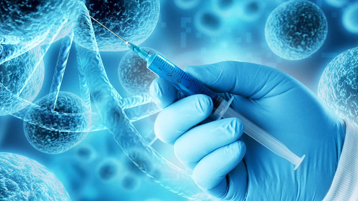 sharjah24's tweet image. #UC scientists create in-body cancer-fighting cells
#Sharjah24 sharjah24.ae/en/Articles/20…