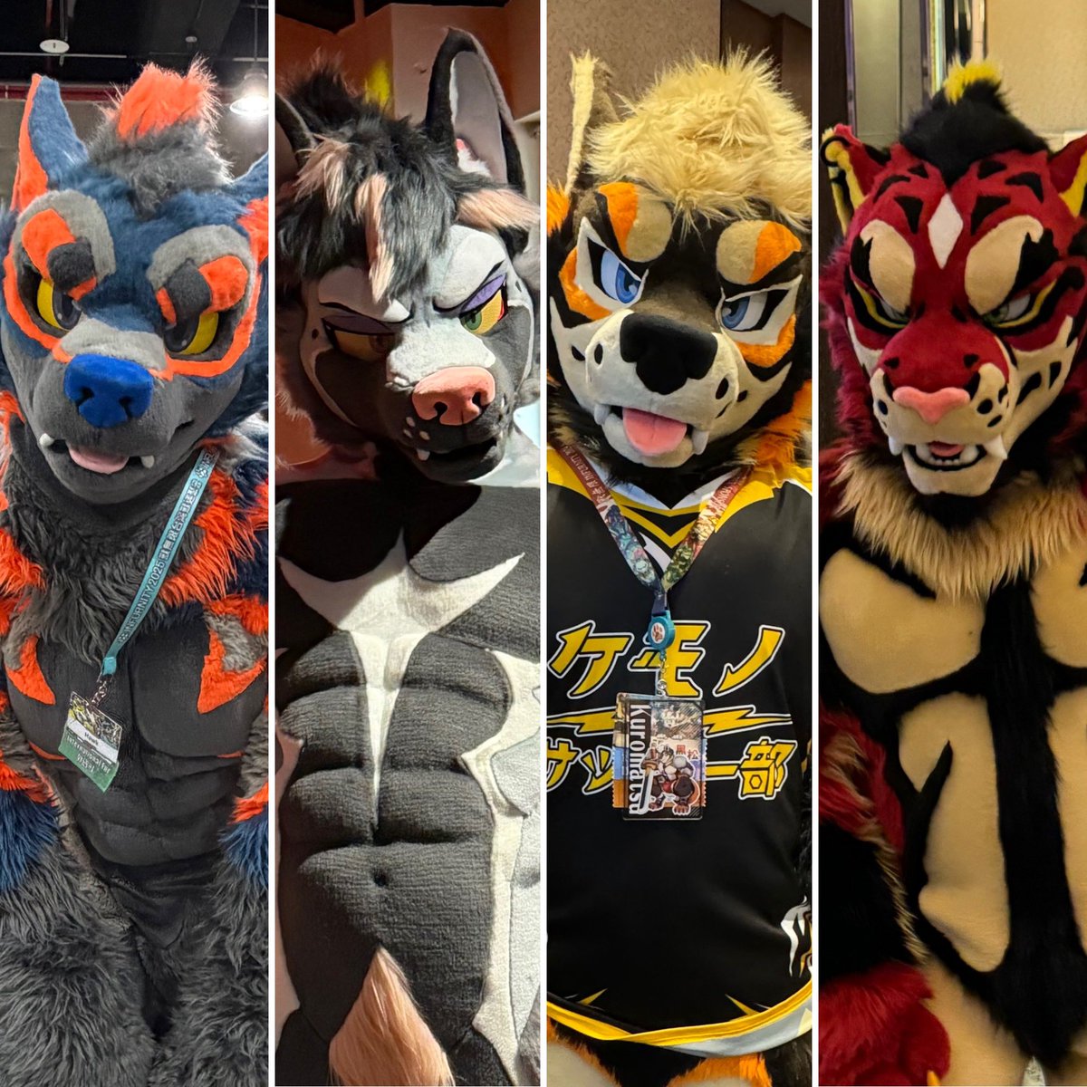 ヤスノブ⭐︎Navix🔜OFFF2026 tweet media