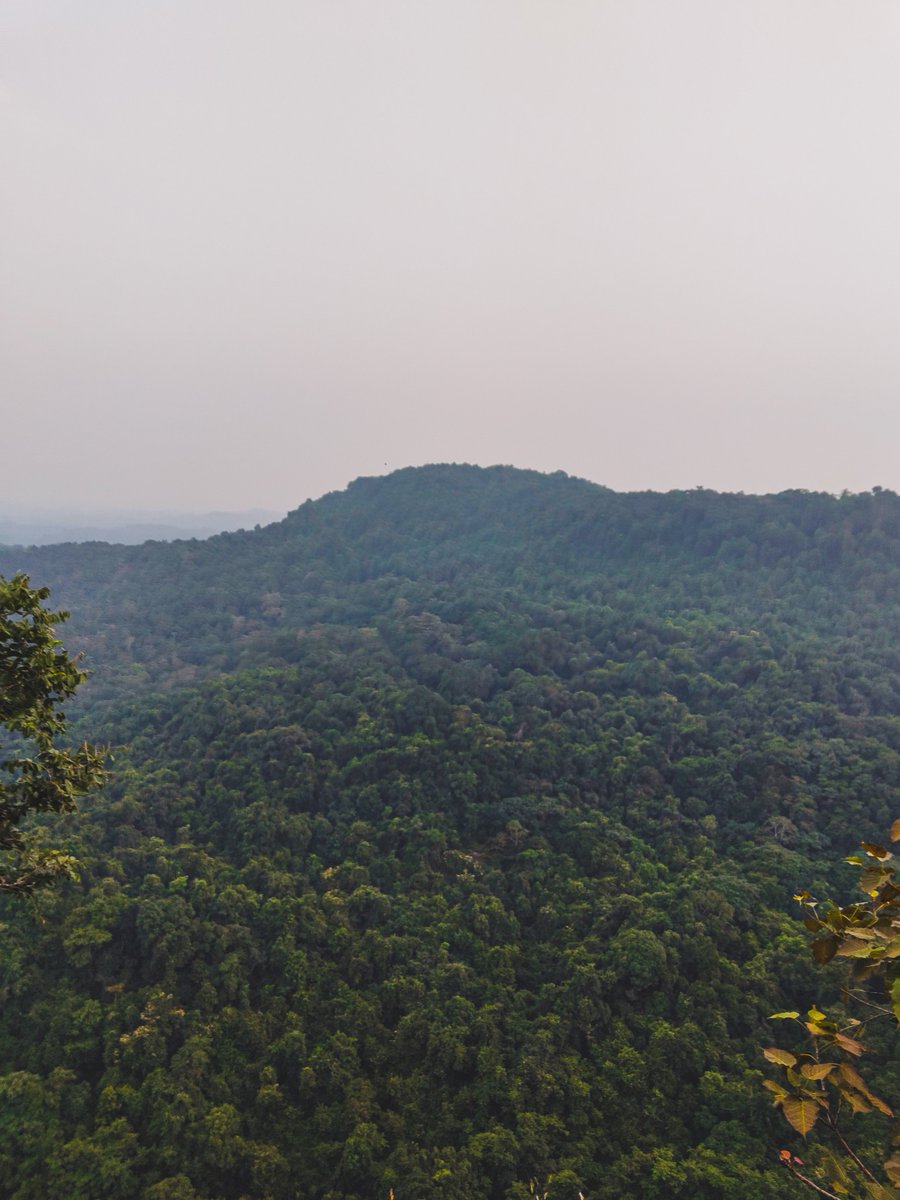 VK 🏴☠️ tweet media