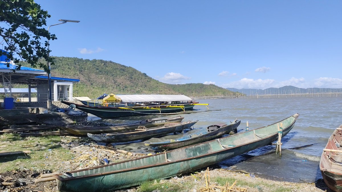 aera111027🐶👑🏐 tweet media