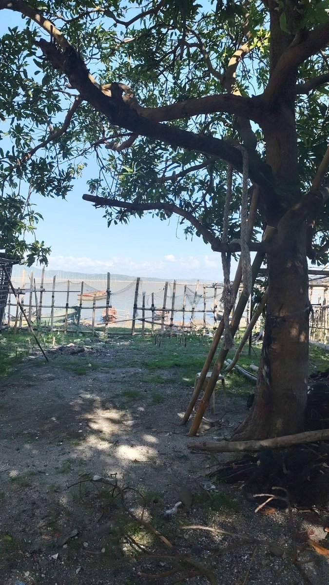 aera111027🐶👑🏐 tweet media