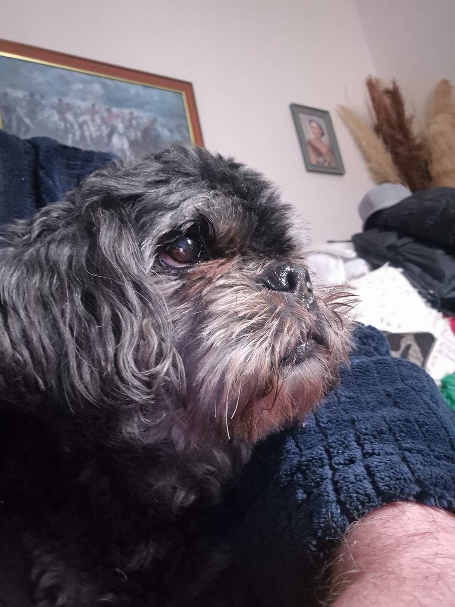 Geoff Scott tweet media