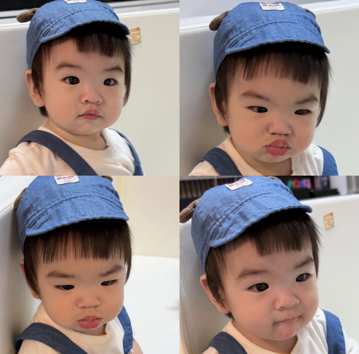 ออออล์🐈🧸 tweet media