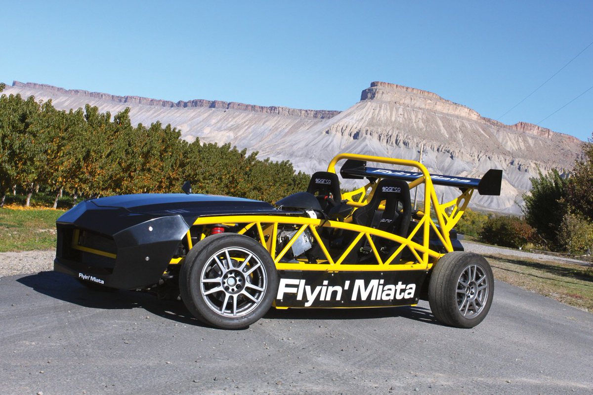 Zogi 🌞 tweet media