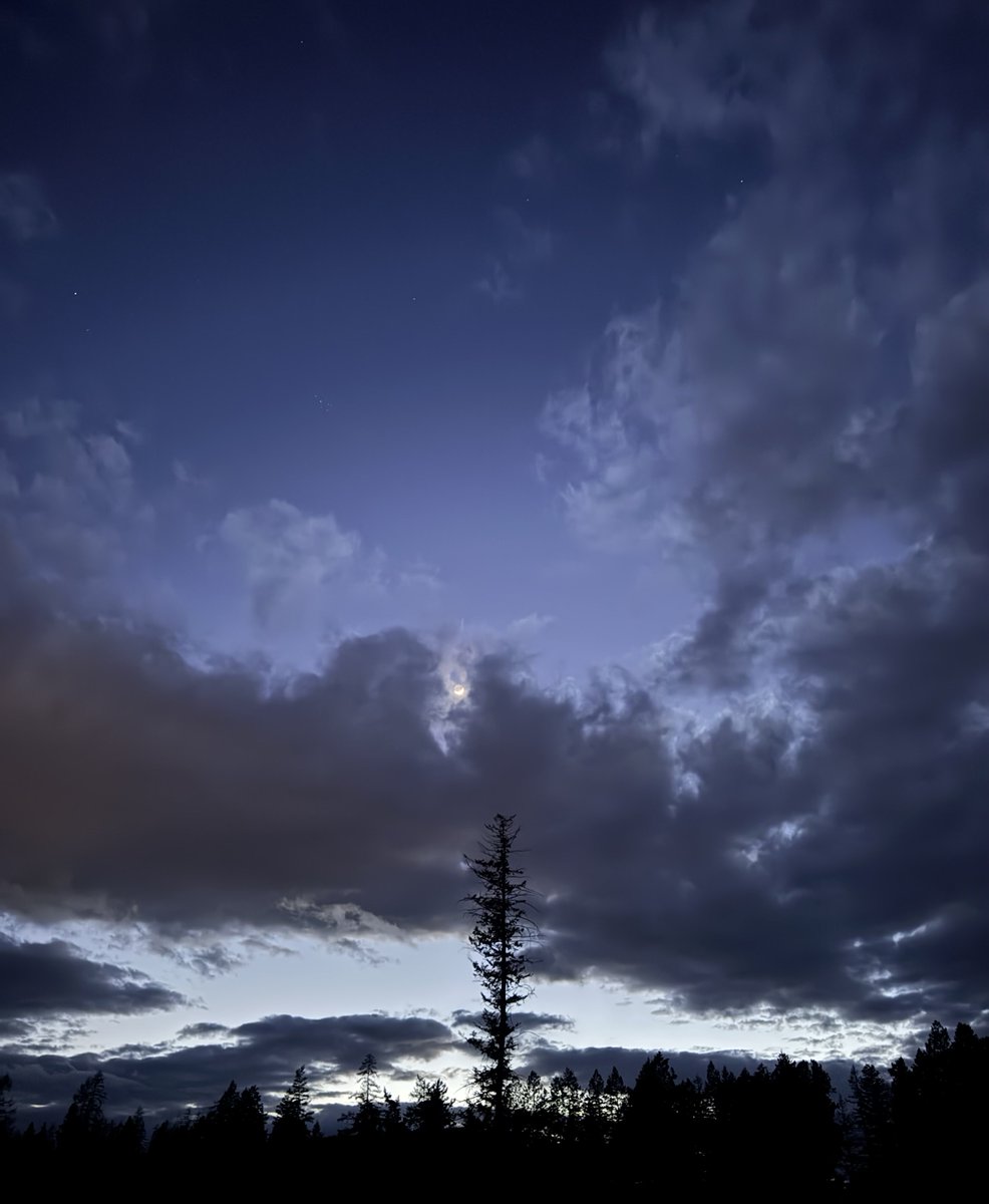 The Tinkle Belle 2 tweet media