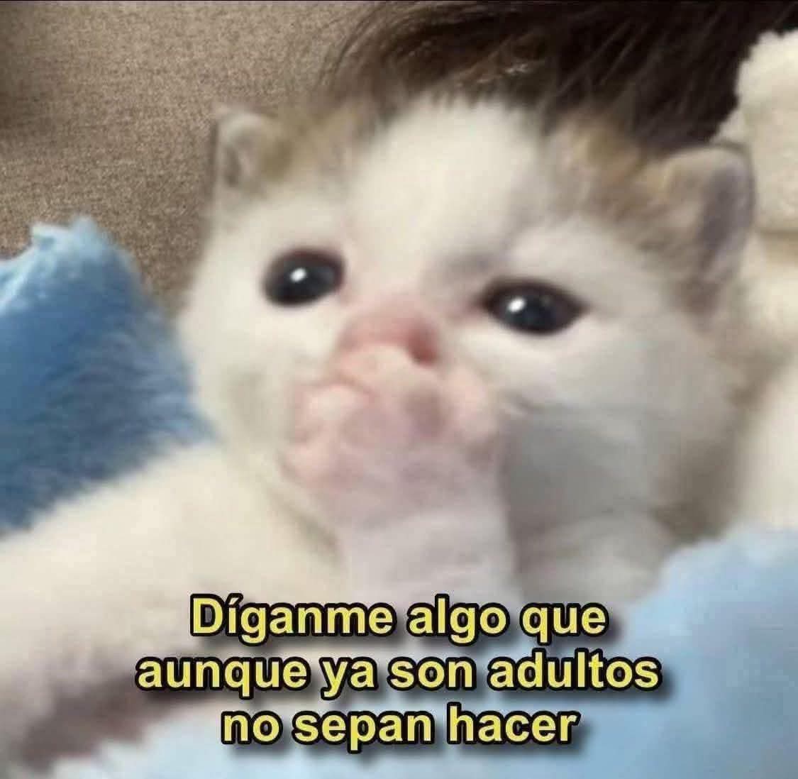 Lonely🥀 tweet media