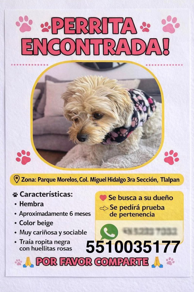 Tlalpan Vecinos tweet media