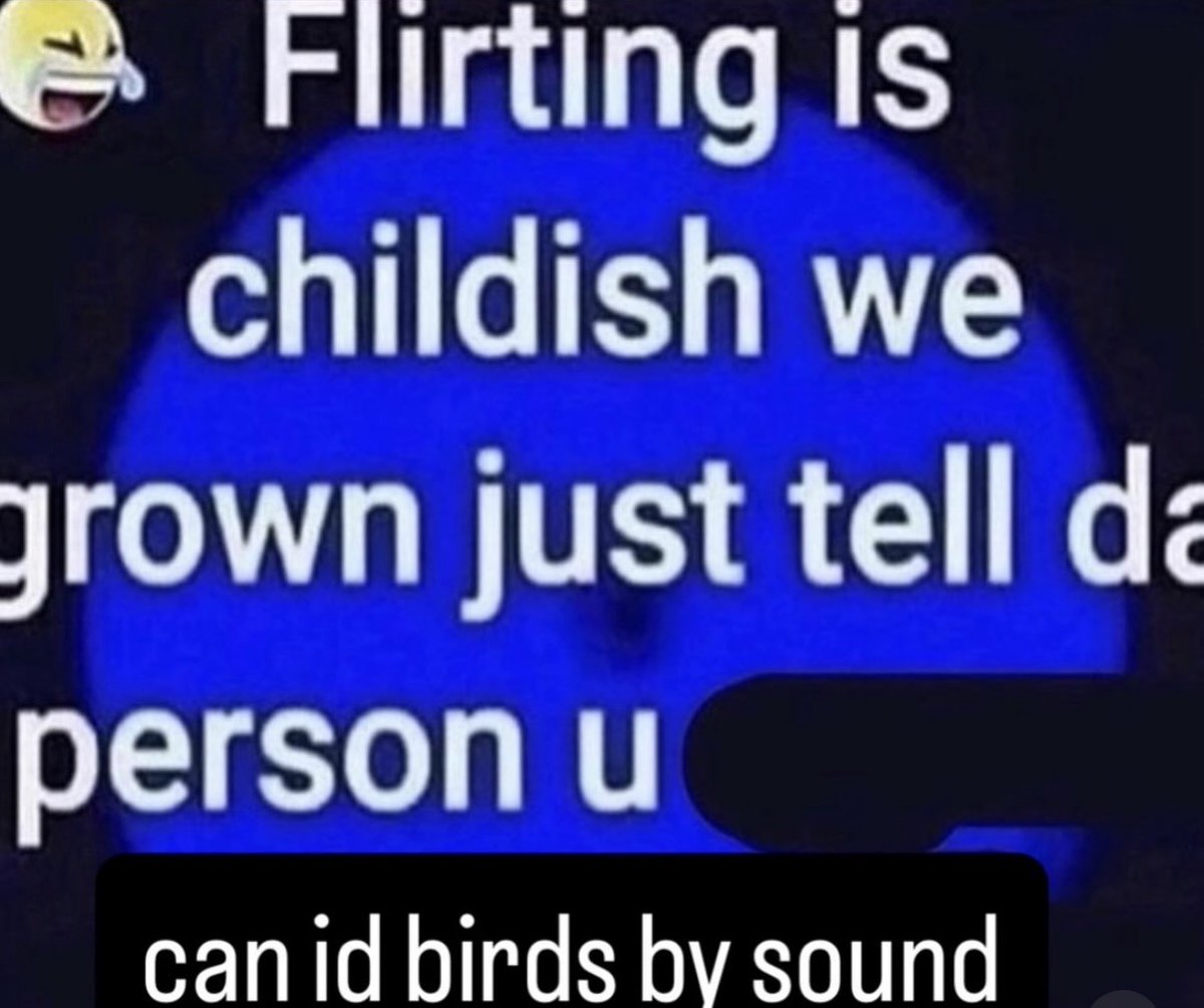 hannaH 🐦‍⬛✖️✖️ tweet media