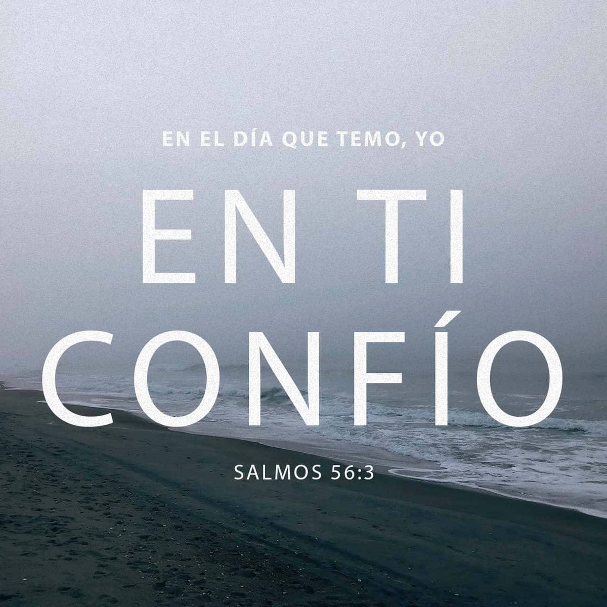 1976176's tweet photo. En ti confio https://t.co/kHTCYQ6F46 https://t.co/FfidlGclNh