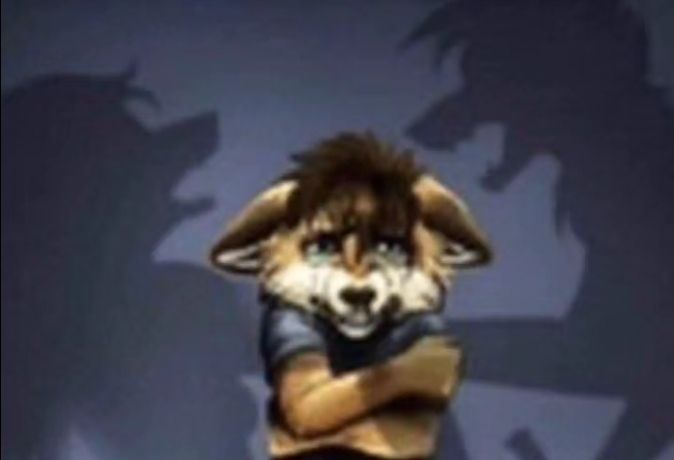 Sinjin✭ tweet media