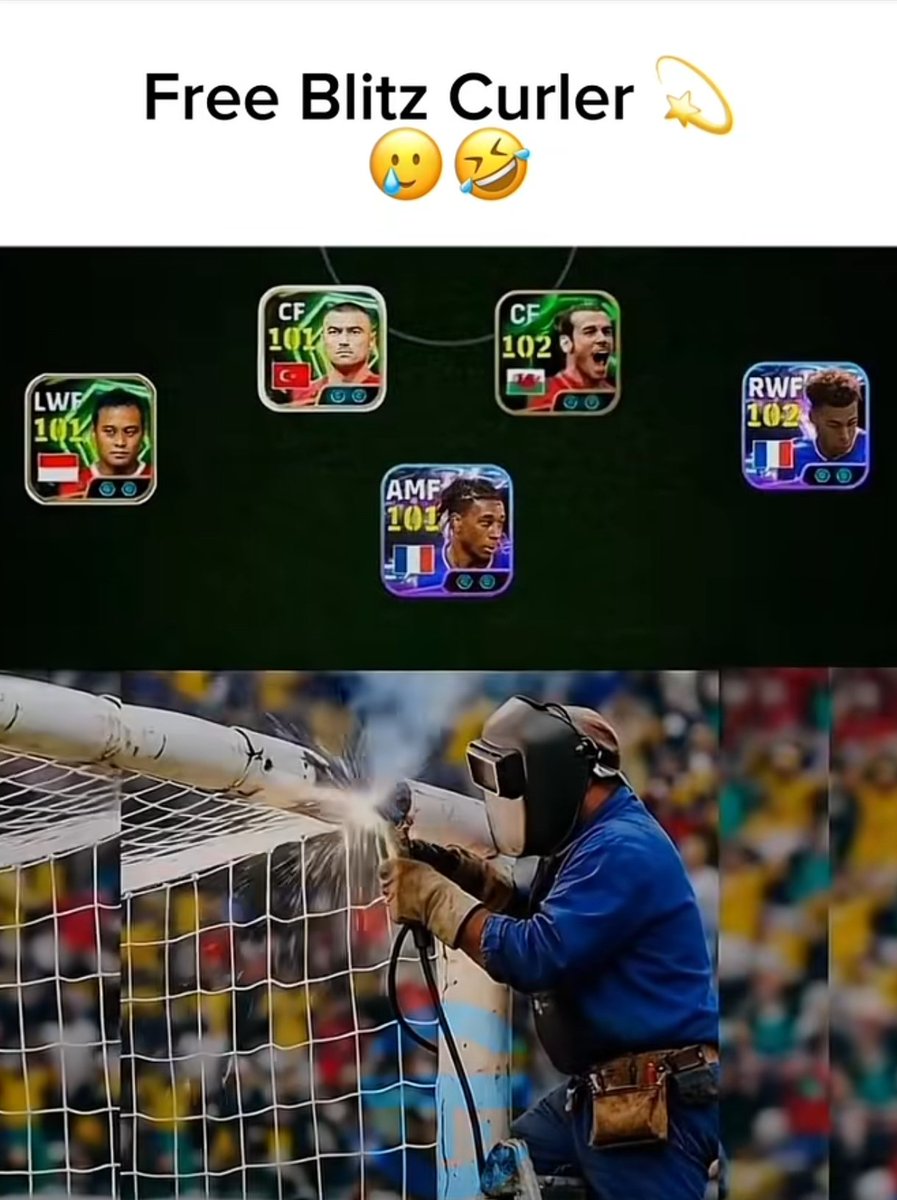 Midas Touch 🐬 tweet media