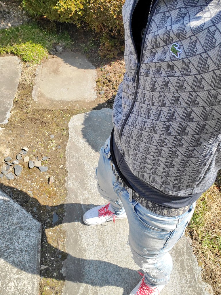 ムー汰 tweet media