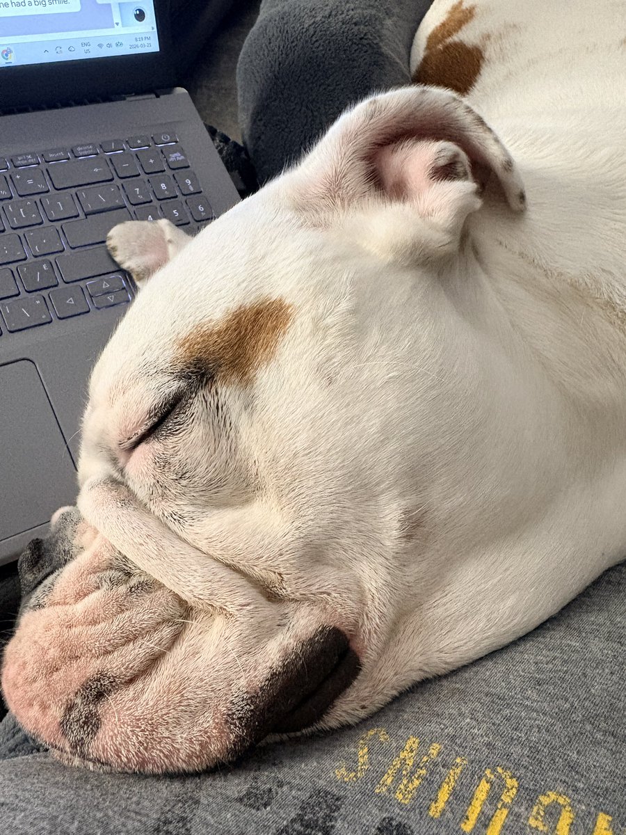 Top Shelf Bourbon tweet media