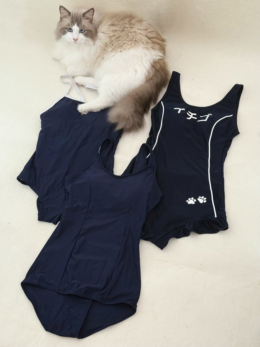 腼腆喵 tweet media