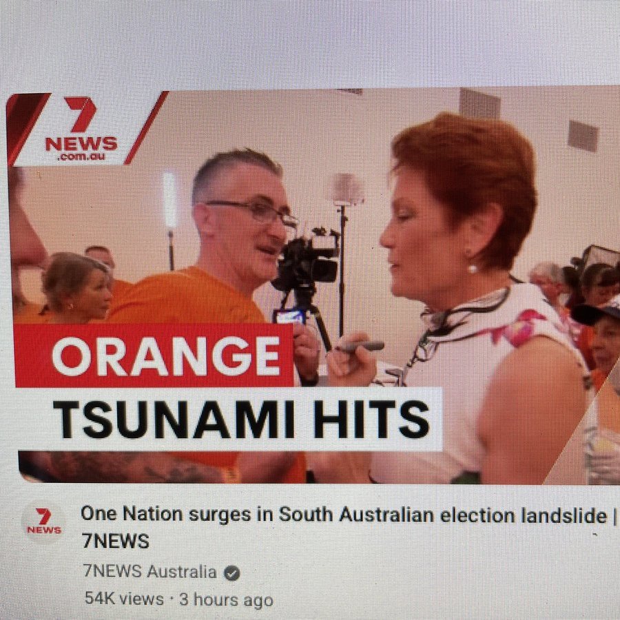 🏳️🌈 🏳️⚧️ 🇵🇸 🇺🇦 tweet media