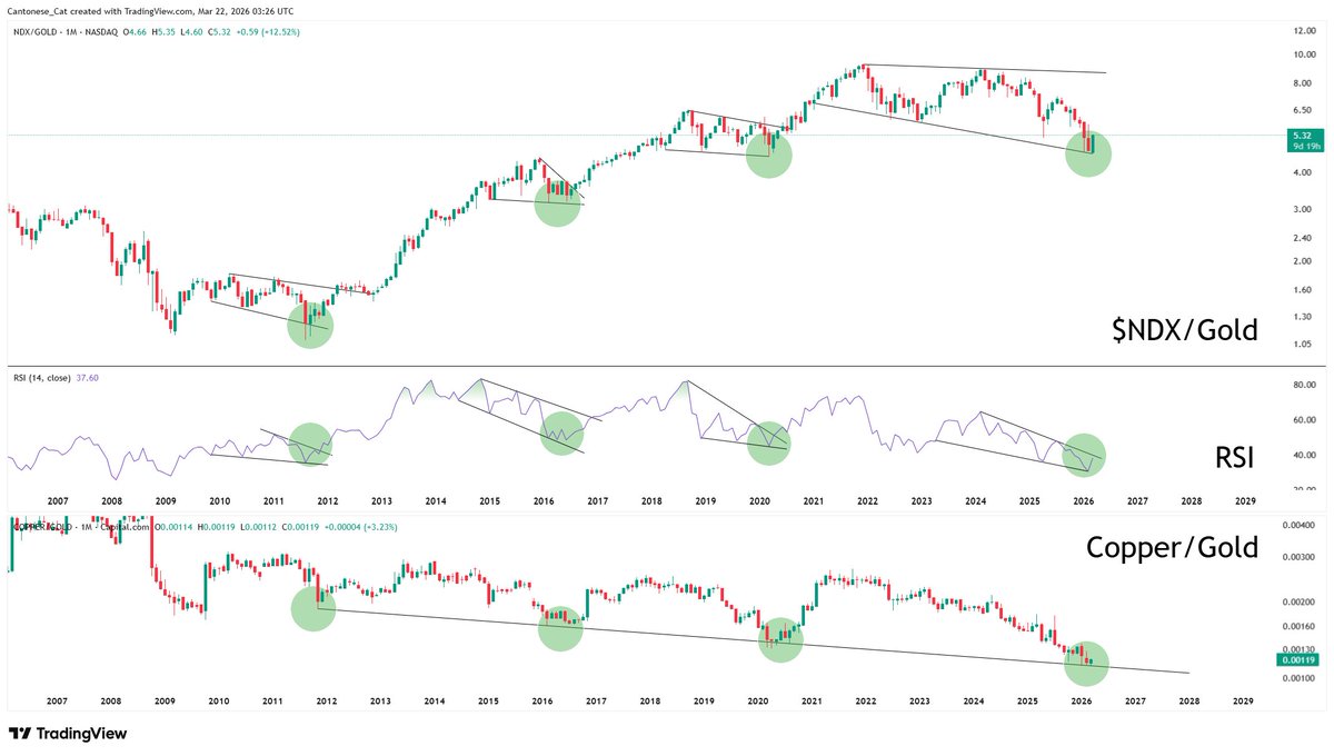Cantonese Cat 🐱🐈 tweet media