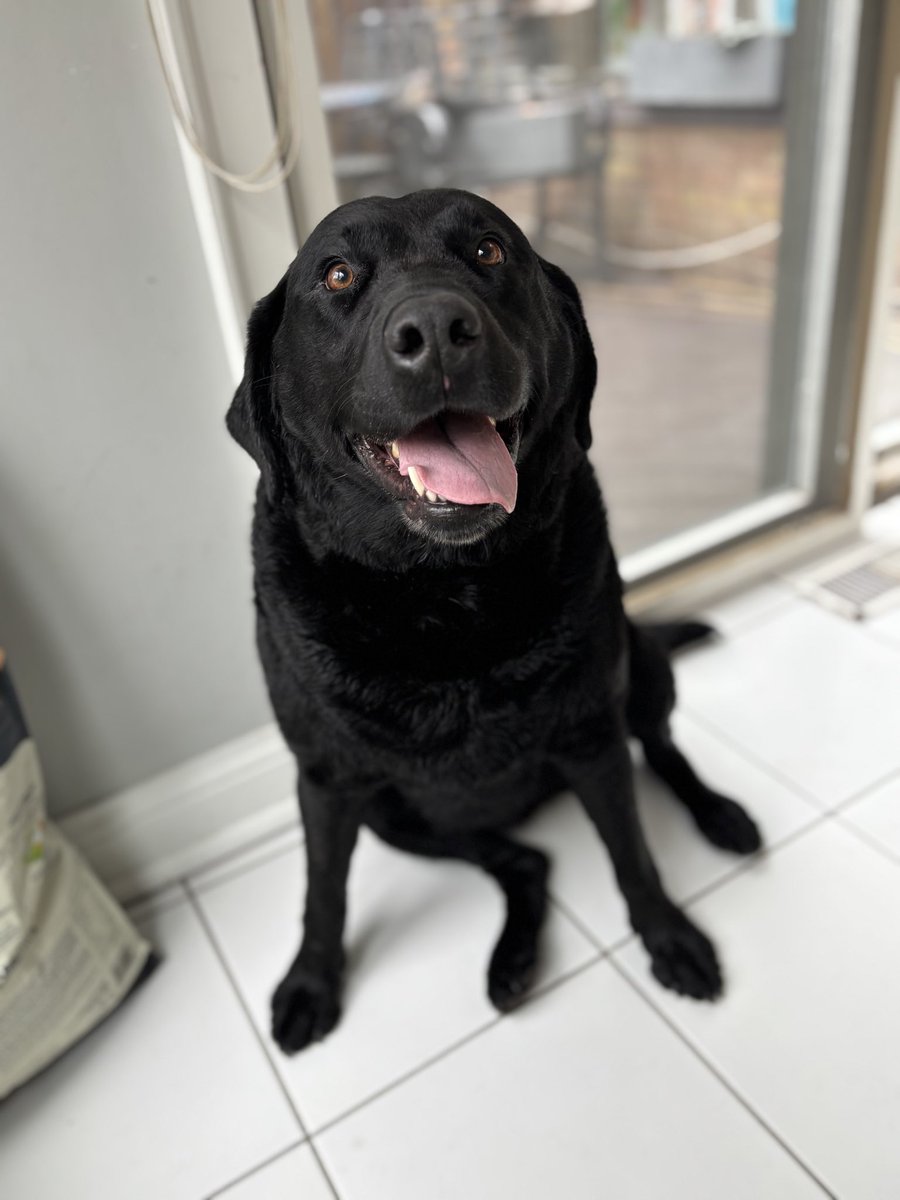 Raghu Venugopal MD tweet media