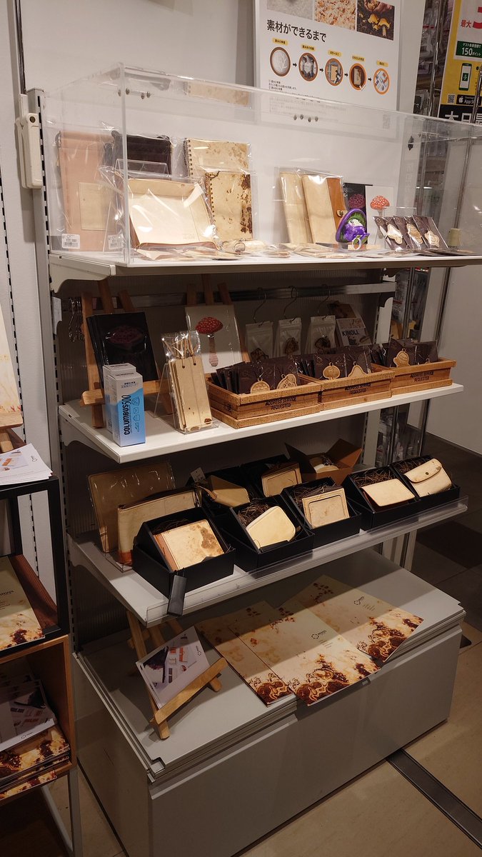 埜 明&のあ🐾🐍 tweet media